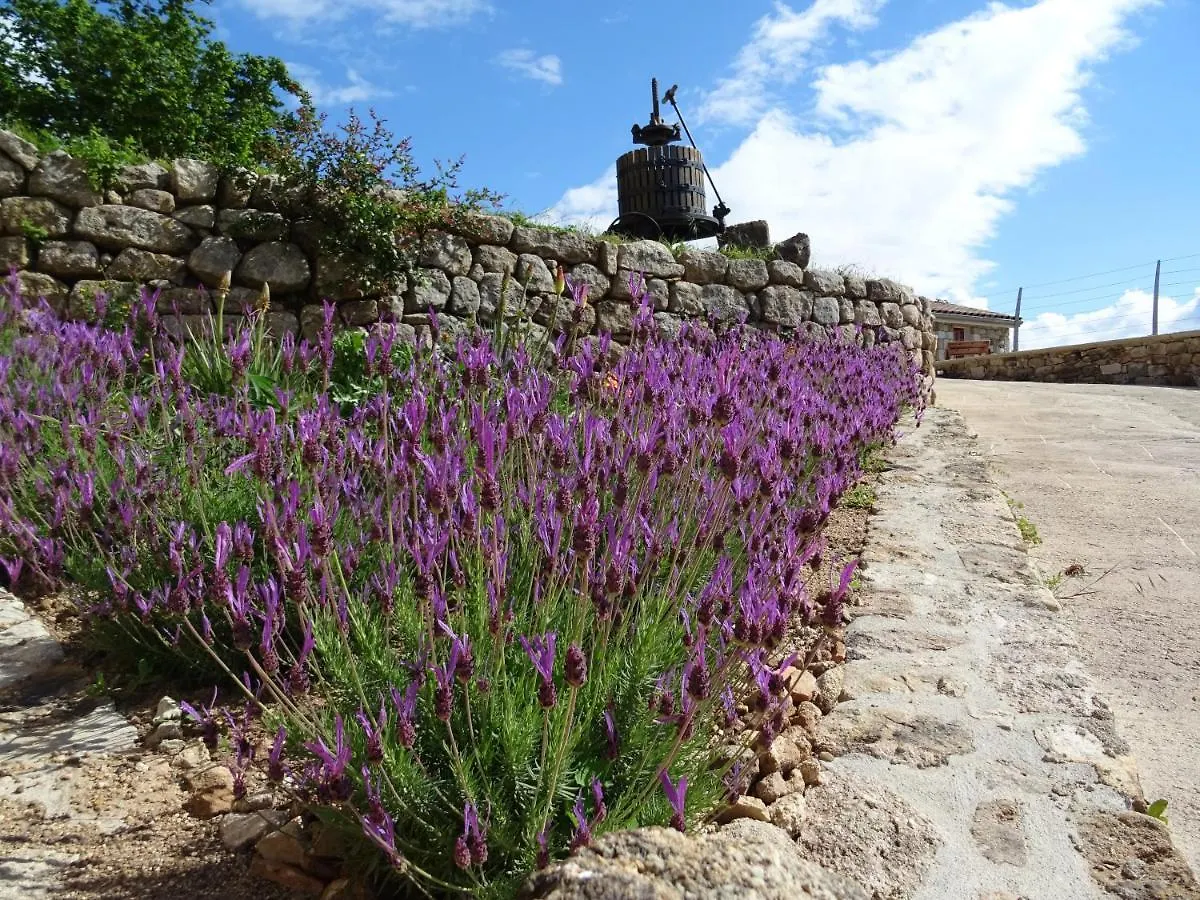 Guest house Domaine Des Hauts De Vernon Vernon  France